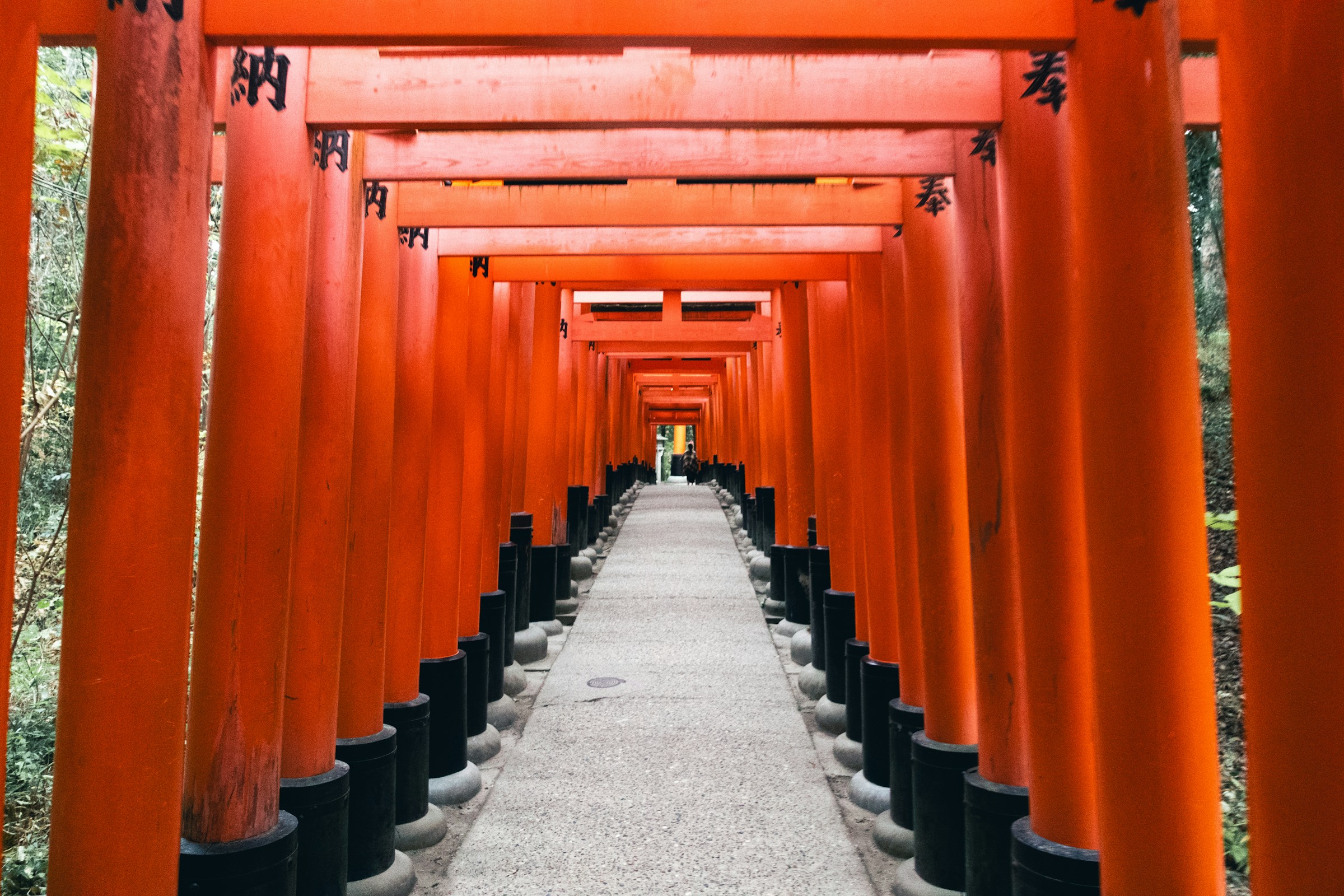 Stone steps rising through a tunnel of red torii gates in Kyoto